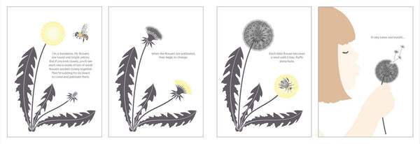 From Tiny Seeds: The Amazing Story of How Plants Travel - Hardback - Kool Skool The Bookstore