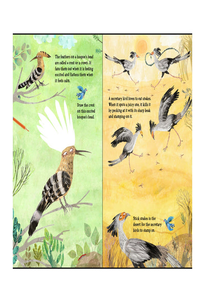 The Big Sticker Book of Birds - Paperback