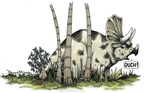 Regina Is NOT a Little Dinosaur - Hardback
