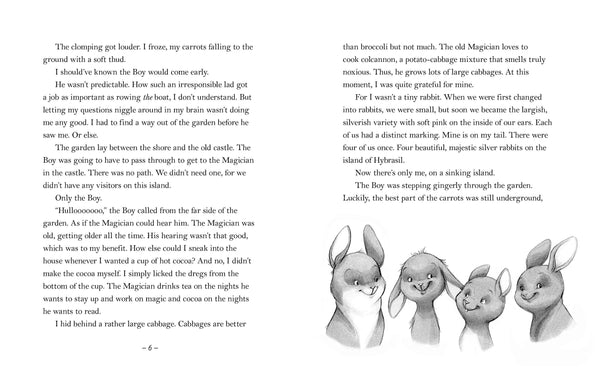 The Last Rabbit - Hardback
