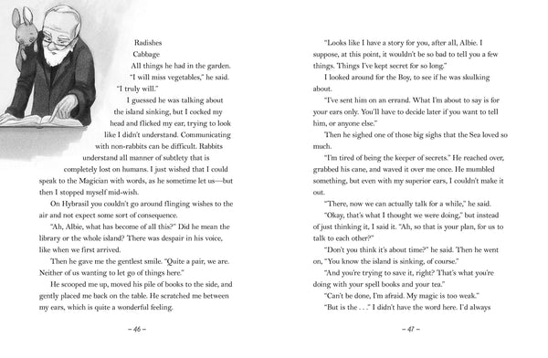 The Last Rabbit - Hardback
