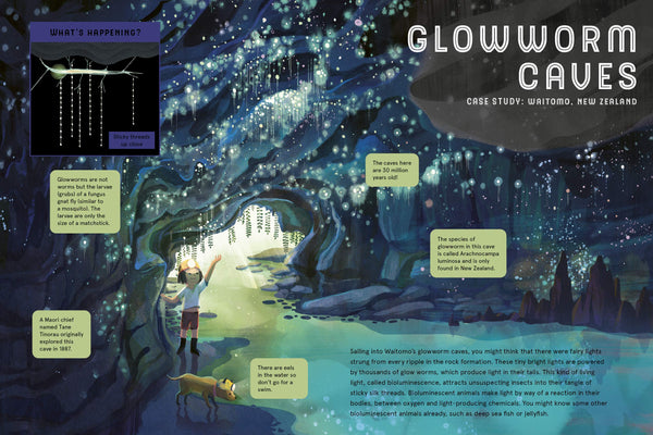 Glow in the Dark: Nature's Light Spectacular: 12 stunning scenes of Earth's greatest shows - Hardback