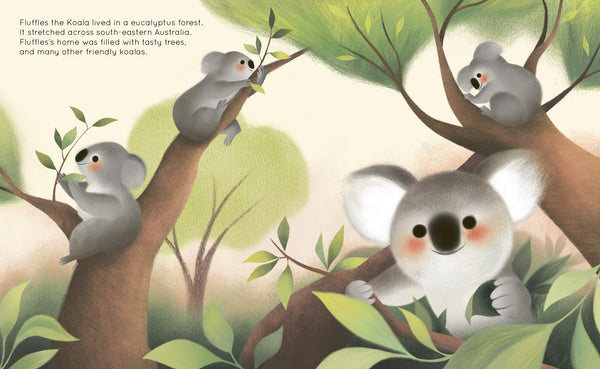 True Stories of Animal Heroes: Fluffles: The Brave Koala Who Held Strong Through A Bushfire - Hardback