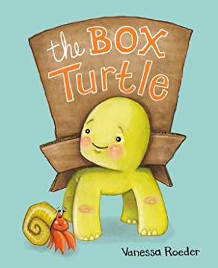 The Box Turtle - Kool Skool The Bookstore
