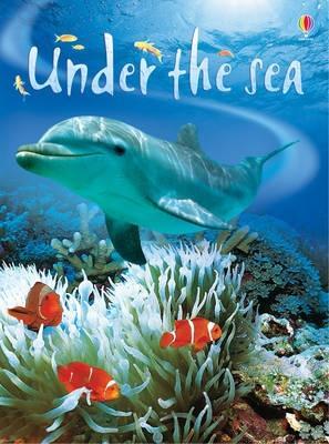 Usborne Beginners : Under The Sea - Hardback - Kool Skool The Bookstore