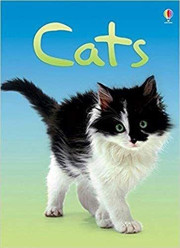 Usborne Beginners : Cats - Hardback