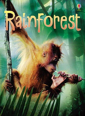 Usborne Beginners : Rainforests - Hardback