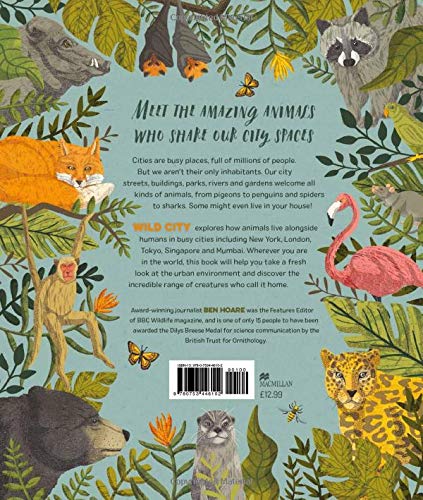 Wild City: Meet the animals who share our city spaces - Hardback