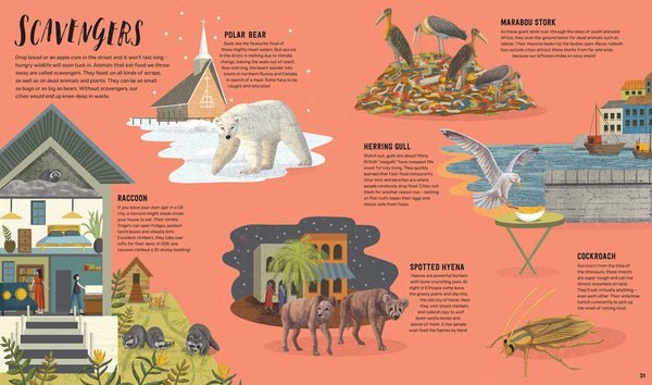 Wild City: Meet the animals who share our city spaces - Hardback