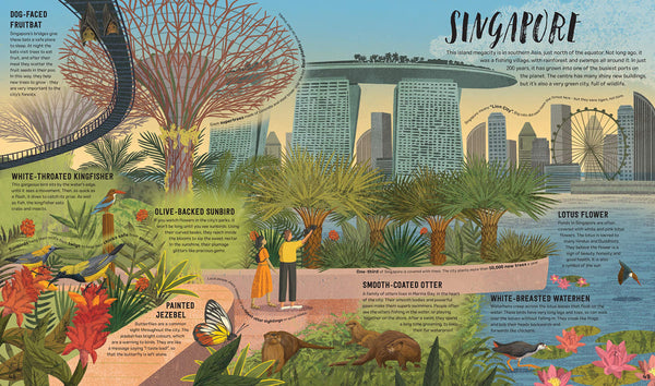 Wild City: Meet the animals who share our city spaces - Hardback