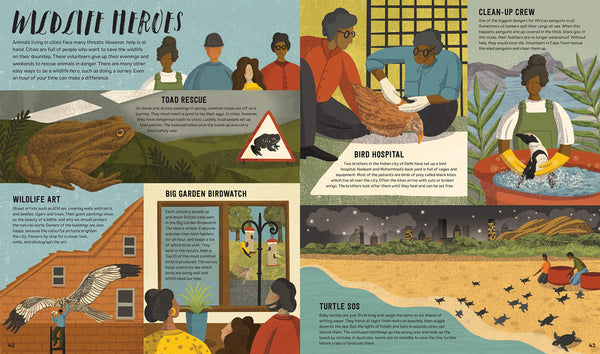 Wild City: Meet the animals who share our city spaces - Hardback