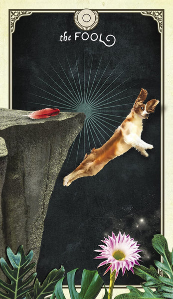 The Tarot of Curious Creatures: A 78 (+1) Card Deck and Guidebook - Cards