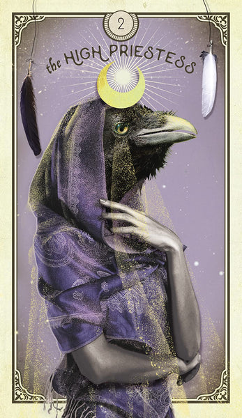 The Tarot of Curious Creatures: A 78 (+1) Card Deck and Guidebook - Cards