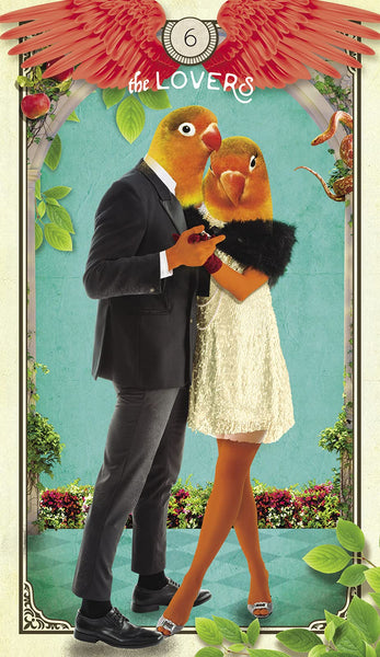 The Tarot of Curious Creatures: A 78 (+1) Card Deck and Guidebook - Cards