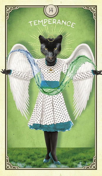 The Tarot of Curious Creatures: A 78 (+1) Card Deck and Guidebook - Cards