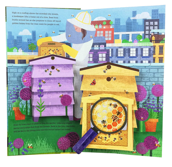 What's Inside? (Pop Up) Hardback