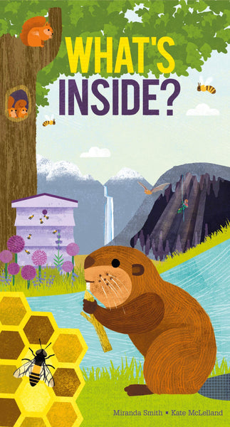 What's Inside? (Pop Up) Hardback
