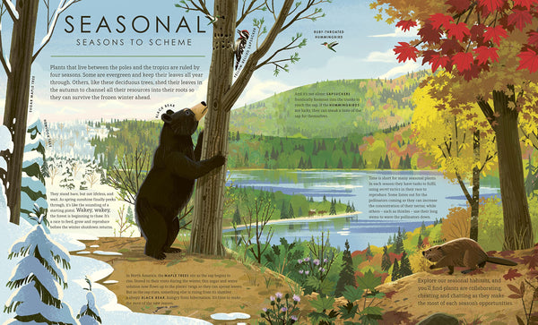 BBC The Green Planet - Hardback