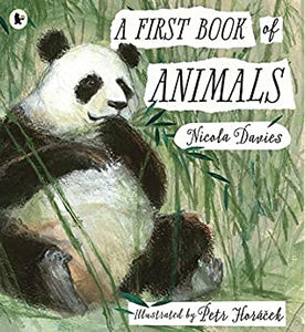 A First Book of Animals - Paperback - Kool Skool The Bookstore