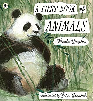 A First Book of Animals - Paperback - Kool Skool The Bookstore