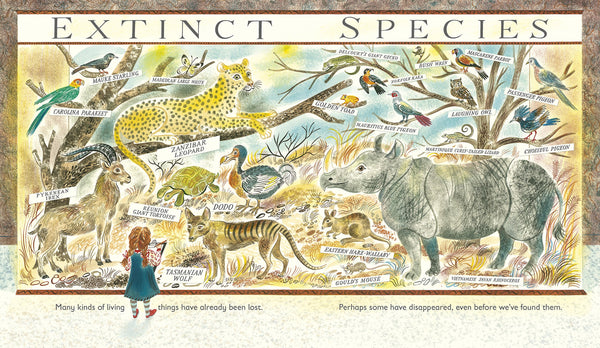 Lots: The Diversity of Life on Earth - Paperback