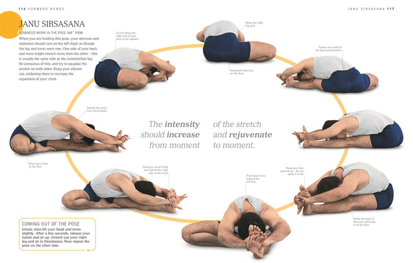 BKS Iyengar Yoga The Path to Holistic Health: The Definitive Step-by-Step Guide - Hardback