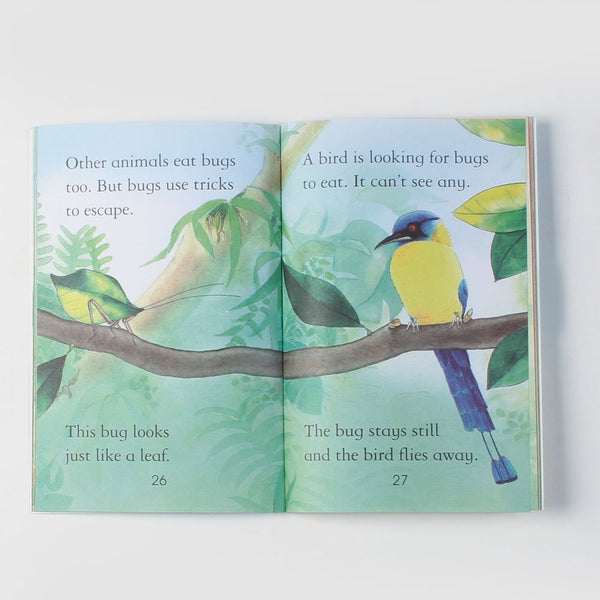 Usborne First Reading Level # 3 : Bugs - Paperback