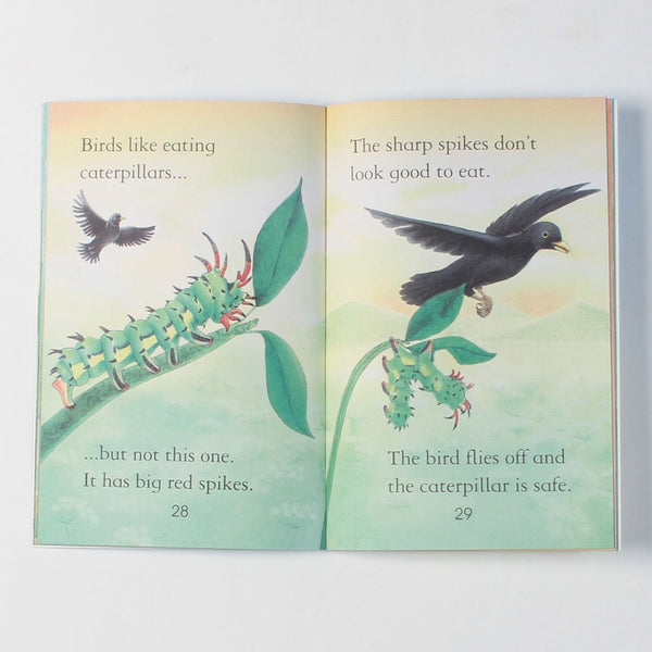 Usborne First Reading Level # 3 : Bugs - Paperback