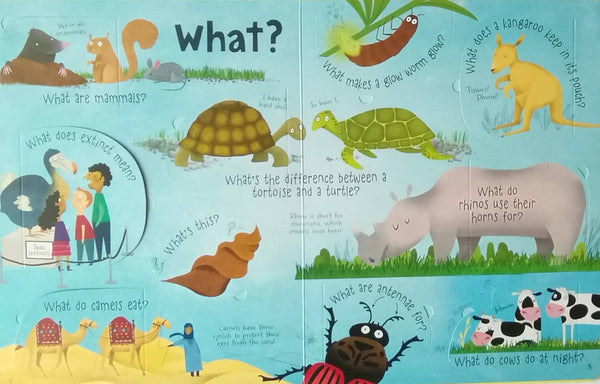 Usborne Lift the Flap : Questions and Answers About Animals - Kool Skool The Bookstore
