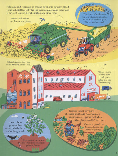 Usborne See Inside Where Food Comes From - Kool Skool The Bookstore