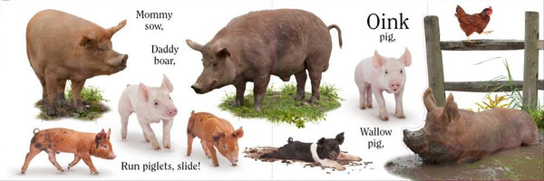 Moo - Board Book
