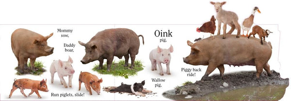 Moo - Board Book
