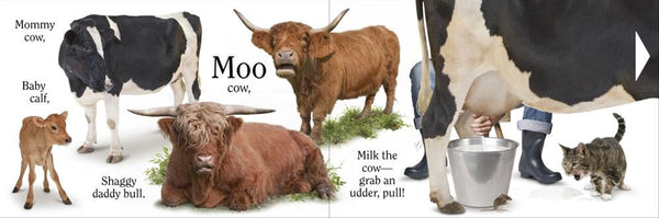 Moo - Board Book