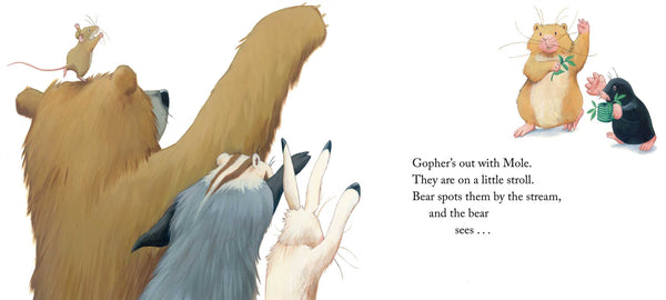 Bear Sees Colors - Board Book