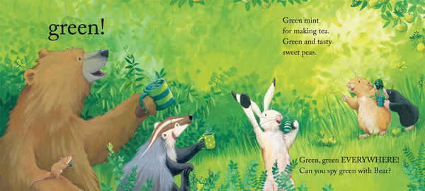 Bear Sees Colors - Board Book