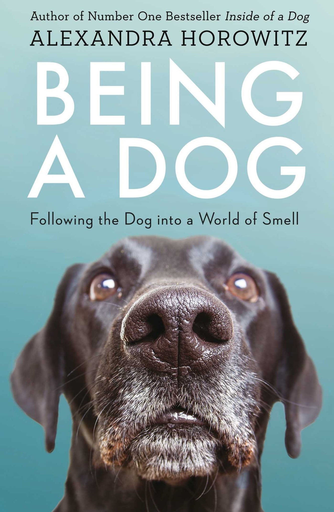 Being a Dog - Paperback