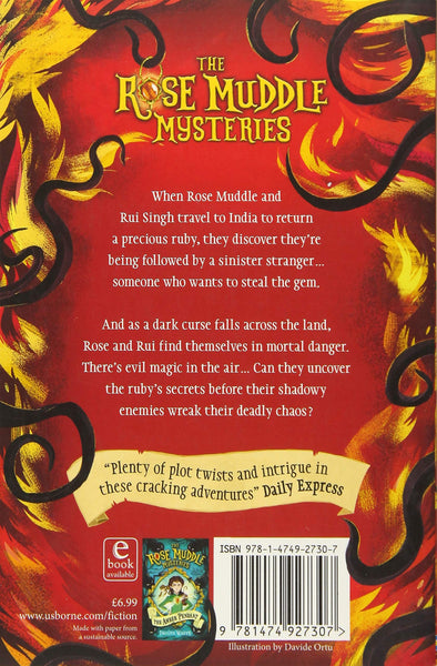 The Rose Muddle Mysteries #2 : The Secret Ruby - Paperback