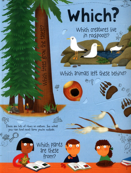 Usborne Lift the Flap : Questions and Answers about Nature - Kool Skool The Bookstore