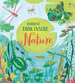 Usborne Lift the Flap : Look Inside Nature - Kool Skool The Bookstore