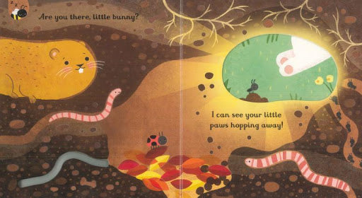 Little Peep-Through Books : Are You There, Little Bunny? - Board Book