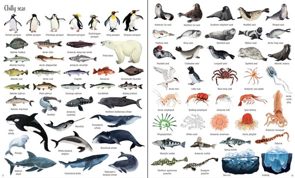 Usborne 1000 Things Under The Sea - Hardback