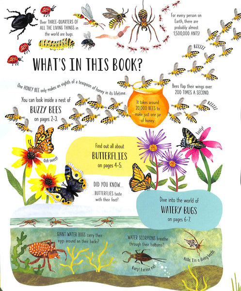 Usborne Lift-the-Flap Bugs and Butterflies - Kool Skool The Bookstore