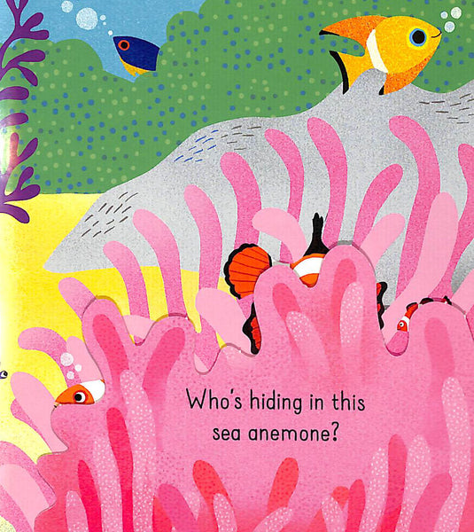 Usborne : Little Lift and Look Under the Sea - Kool Skool The Bookstore