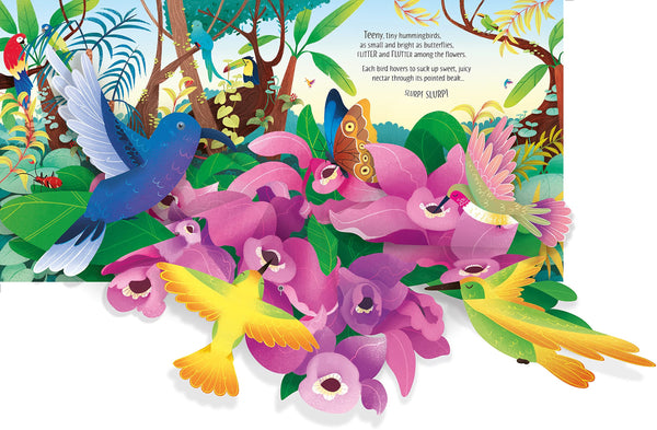 Pop-Up : Birds - Board book