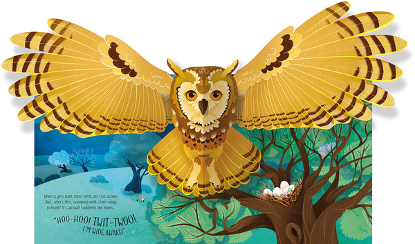 Pop-Up : Birds - Board book