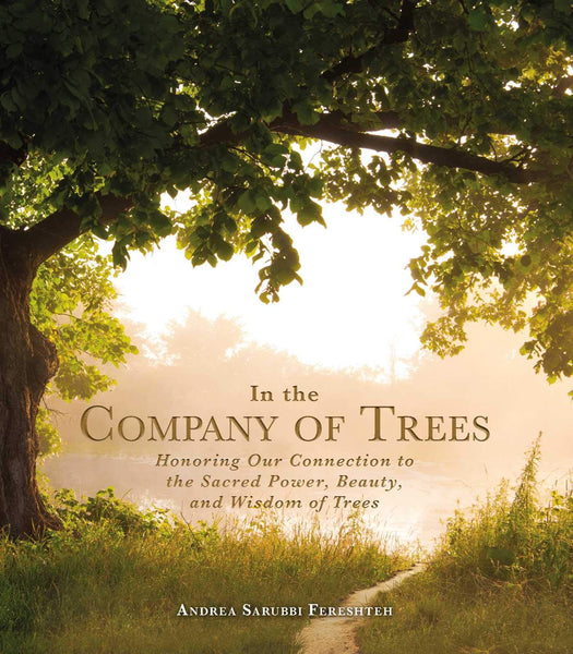 In the Company of Trees: Honoring Our Connection to the Sacred Power, Beauty, and Wisdom of Trees - Hardback