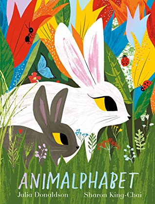 Animalphabet - Paperback - Kool Skool The Bookstore