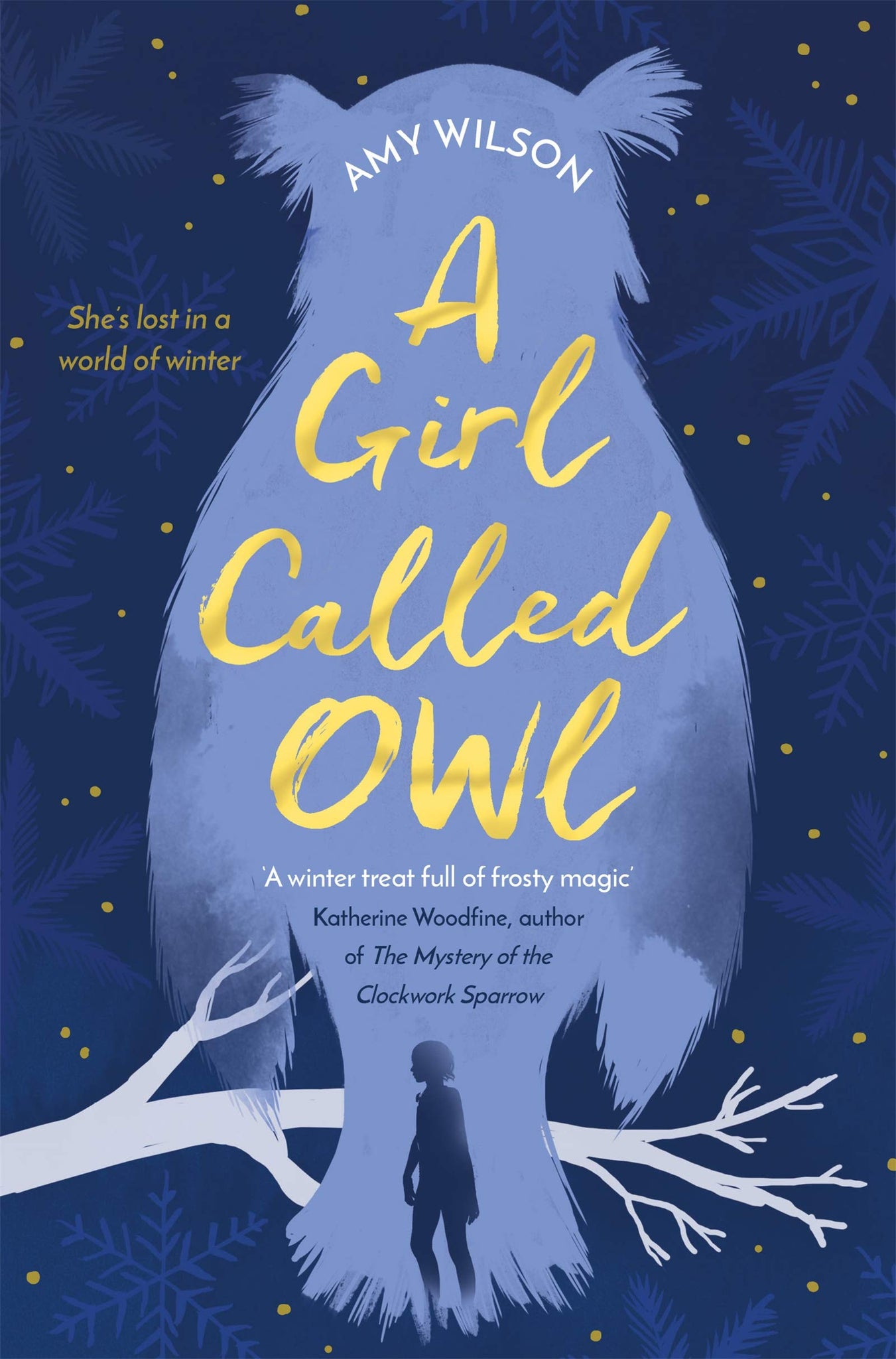 A Girl Called Owl - Paperback