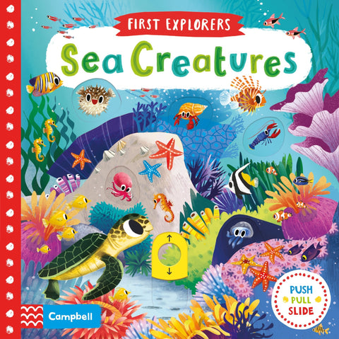 First Explorers: Sea Creatures - Board Book