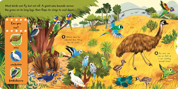 First Explorers: Beautiful Birds - Board Book